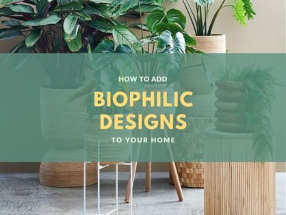 Embracing Biophilic Interiors: Bringing Nature Indoors