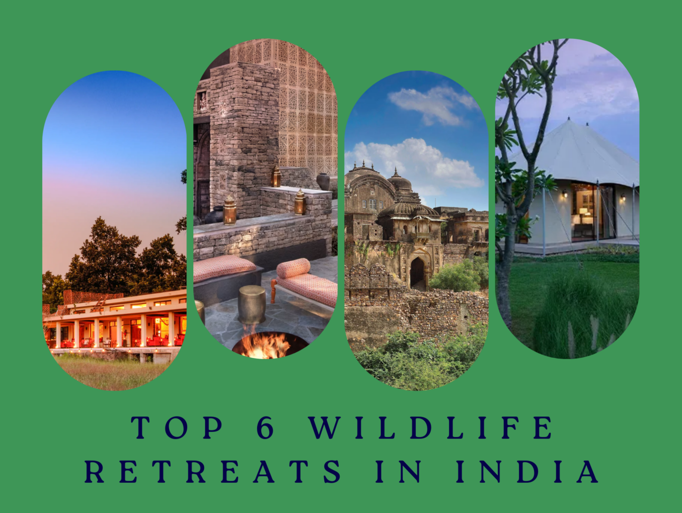 Wildlife Retreats in India: A Journey of Luxury and Discovery