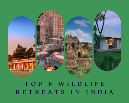 Wildlife Retreats in India: A Journey of Luxury and Discovery